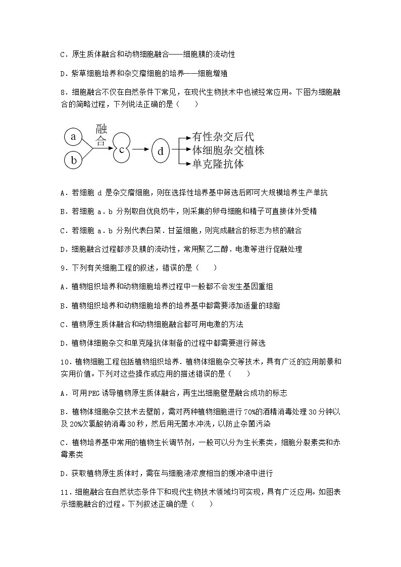 浙科版高中生物选择性必修3第一节通过植物组织培养可获得完整植株同步作业4含答案第3页
