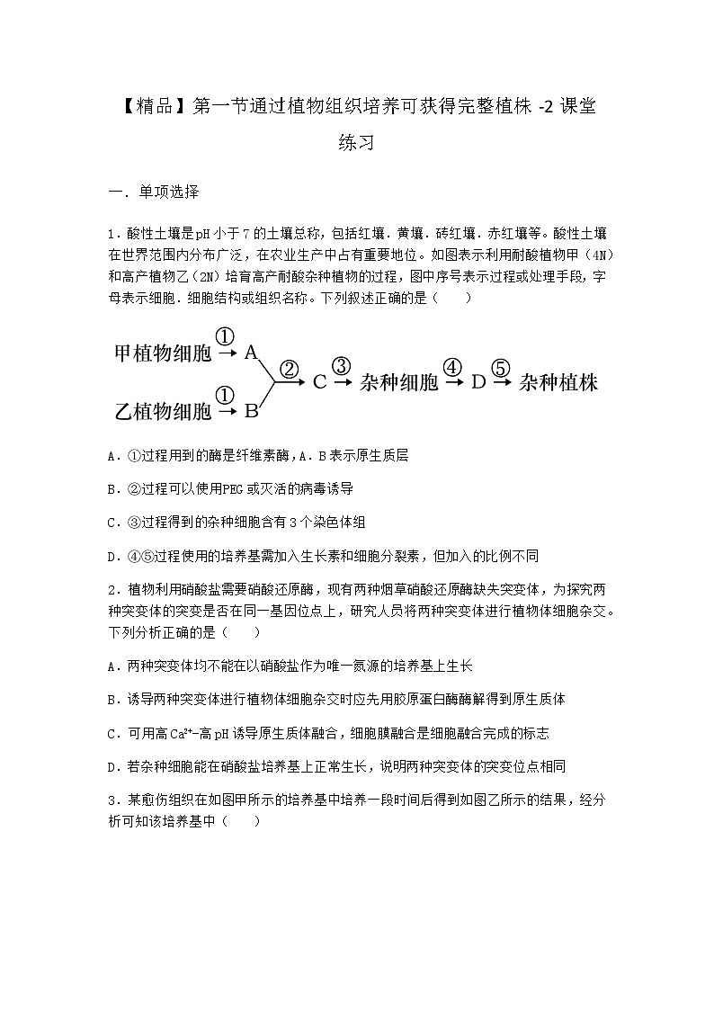 浙科版高中生物选择性必修3第一节通过植物组织培养可获得完整植株课堂作业2含答案第1页