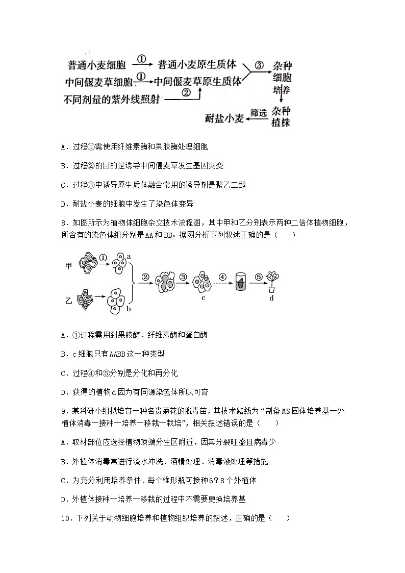 浙科版高中生物选择性必修3第一节通过植物组织培养可获得完整植株课堂作业2含答案第3页