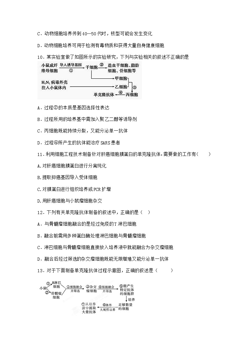 浙科版高中生物选择性必修3第三节通过细胞融合可产生具有新特性的细胞作业6含答案03