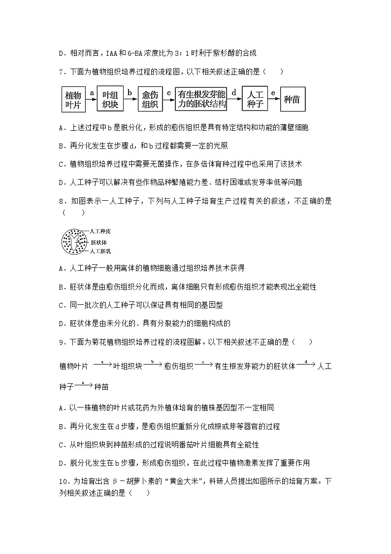 浙科版高中生物选择性必修3第一节通过植物组织培养可获得完整植株优选作业3含答案第3页