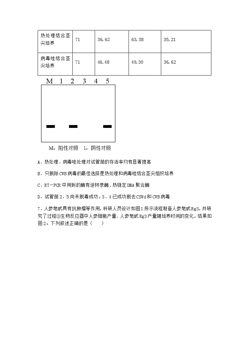 浙科版高中生物选择性必修3第一节通过植物组织培养可获得完整植株优选作业4含答案第3页