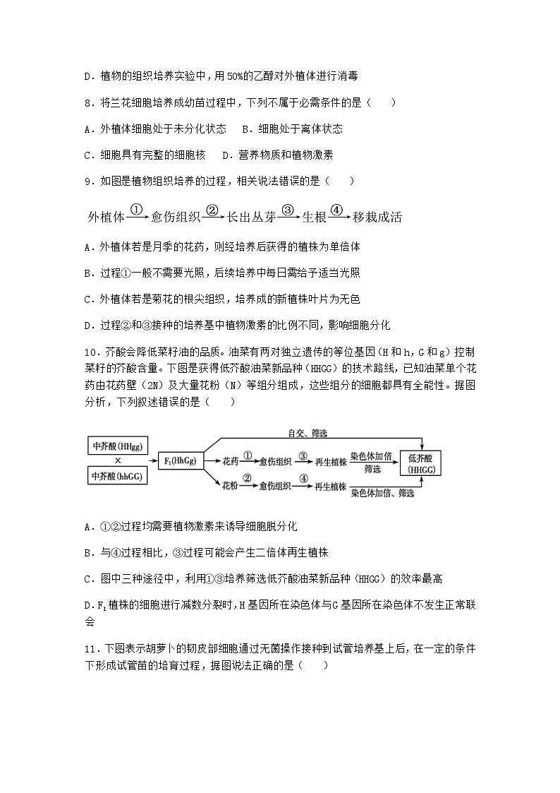 浙科版高中生物选择性必修3第一节通过植物组织培养可获得完整植株作业1含答案第3页