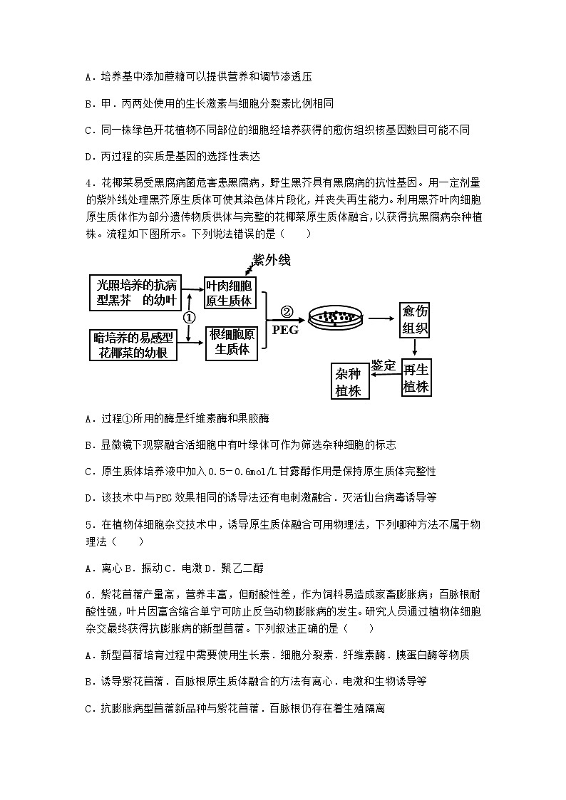 浙科版高中生物选择性必修3第一节通过植物组织培养可获得完整植株作业2含答案第2页