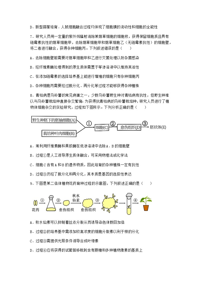 浙科版高中生物选择性必修3第一节通过植物组织培养可获得完整植株作业2含答案第3页