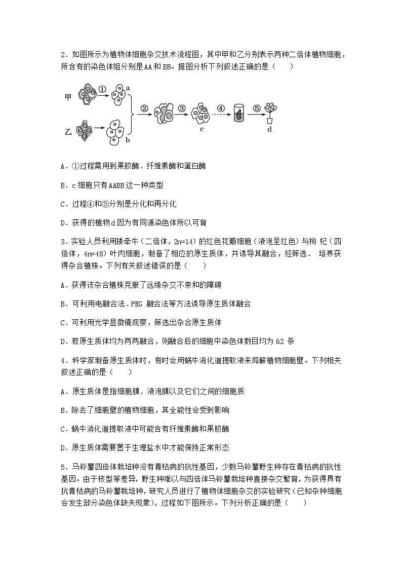 浙科版高中生物选择性必修3第一节通过植物组织培养可获得完整植株作业4含答案02
