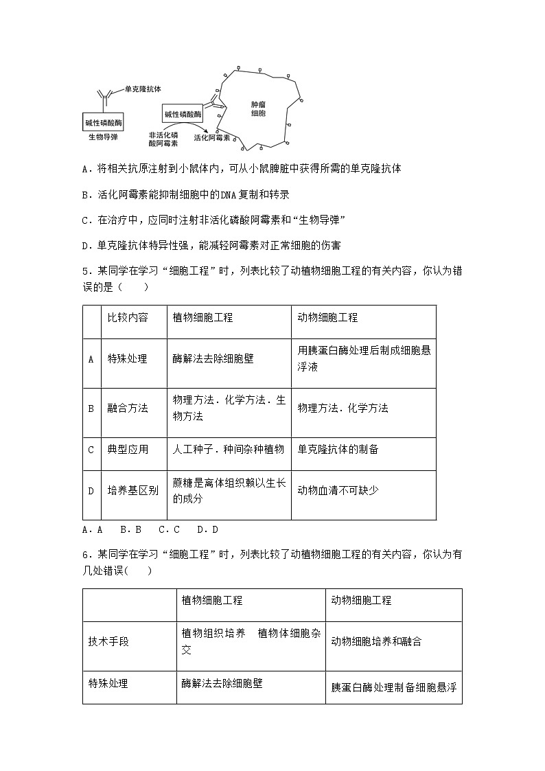 浙科版高中生物选择性必修3第一节细胞培养是动物细胞工程的基础优质作业1含答案第2页