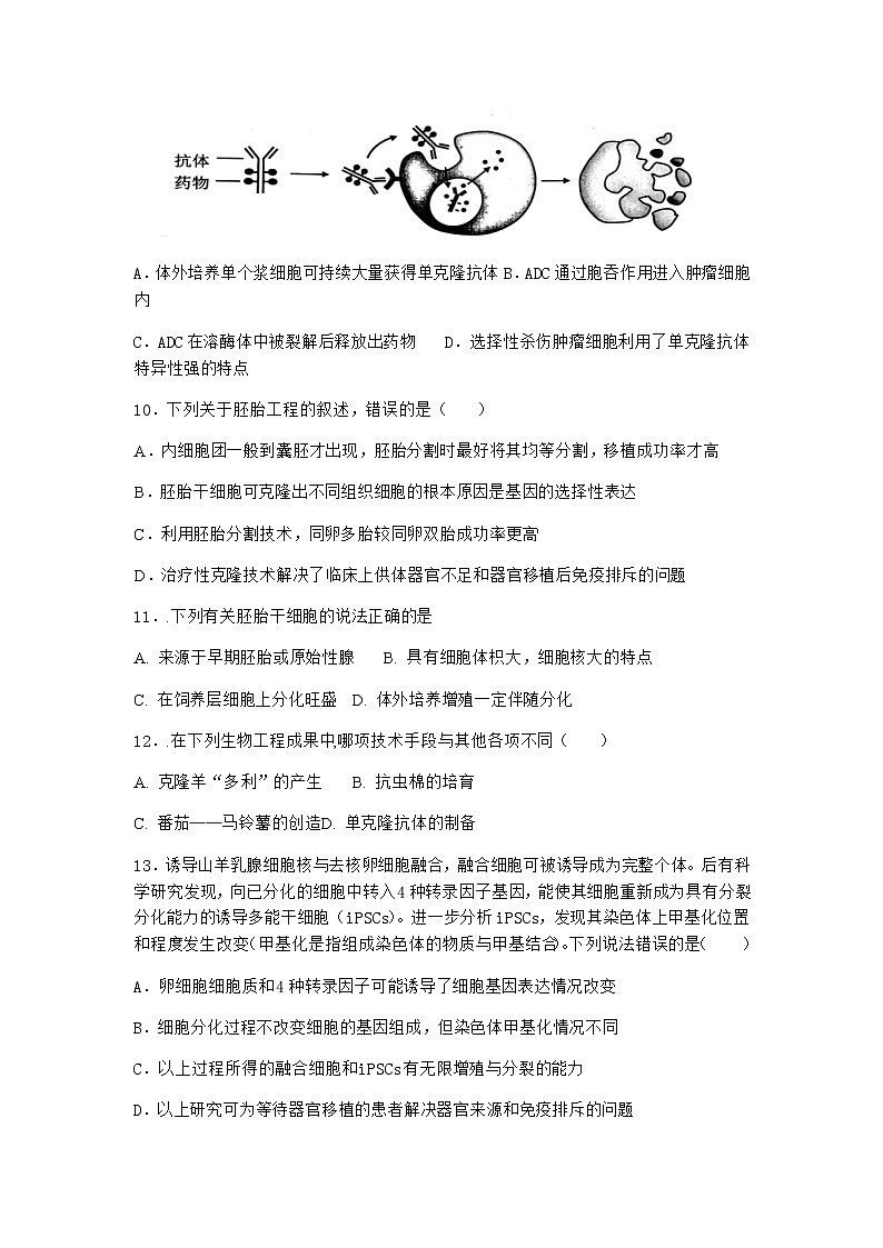 浙科版高中生物选择性必修3第一节细胞培养是动物细胞工程的基础优选作业2含答案03