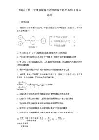 生物浙科版 (2019)第三章  动物细胞工程第一节  细胞培养是动物细胞工程的基础测试题