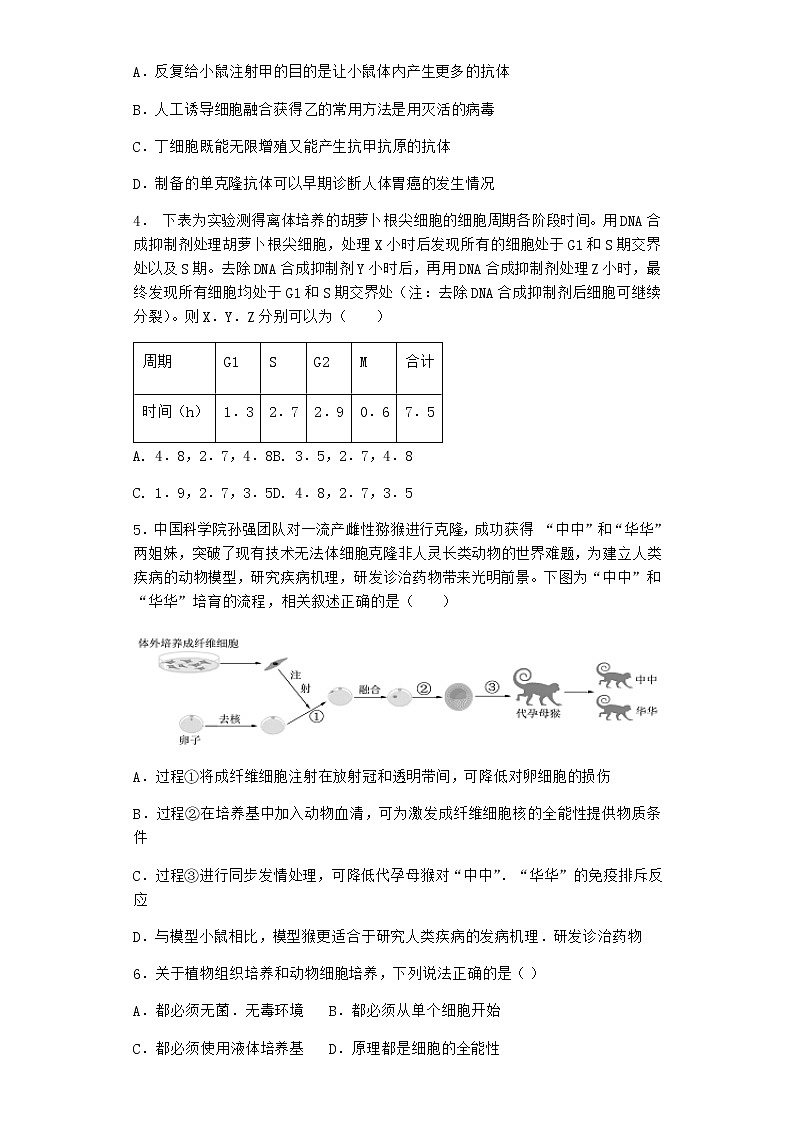 浙科版高中生物选择性必修3第一节细胞培养是动物细胞工程的基础作业1含答案第2页