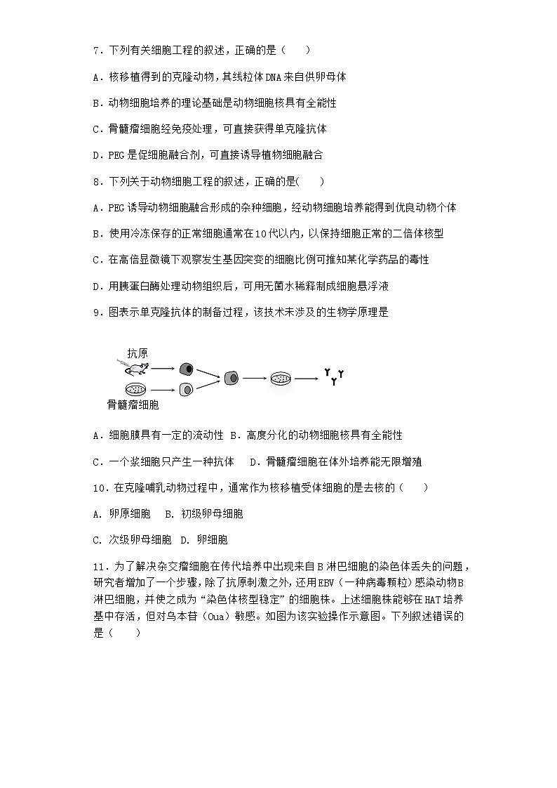 浙科版高中生物选择性必修3第一节细胞培养是动物细胞工程的基础作业1含答案第3页