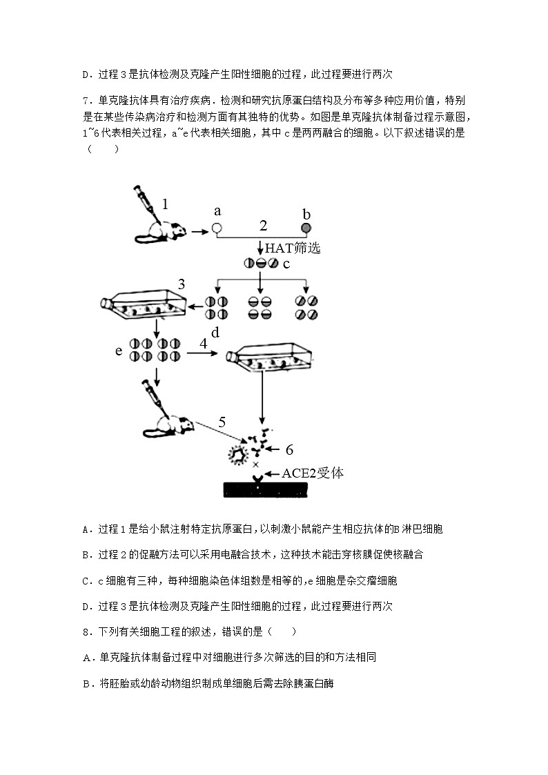 浙科版高中生物选择性必修3第一节细胞培养是动物细胞工程的基础作业3含答案03