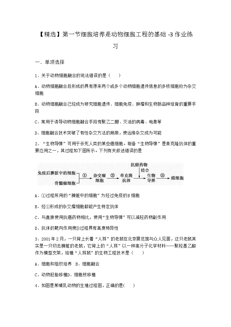 浙科版高中生物选择性必修3第一节细胞培养是动物细胞工程的基础作业4含答案01