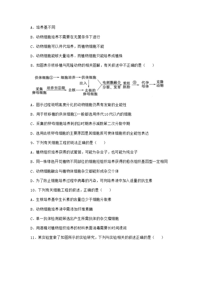 浙科版高中生物选择性必修3第一节细胞培养是动物细胞工程的基础作业4含答案03