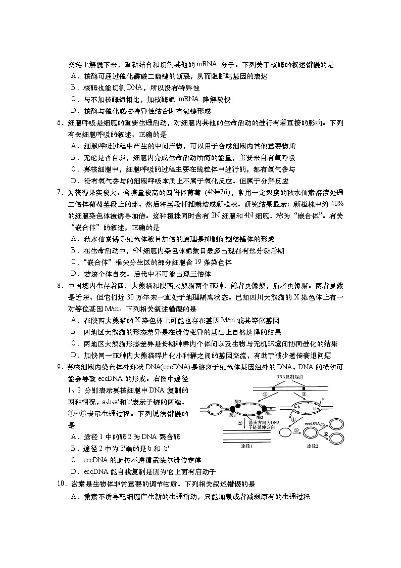 2023年高考适应性考试（二）生物试题第2页