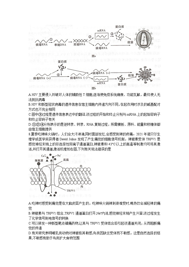 2023湖南省新高考教学教研联盟高三下学期4月第二次联考生物试卷含答案03