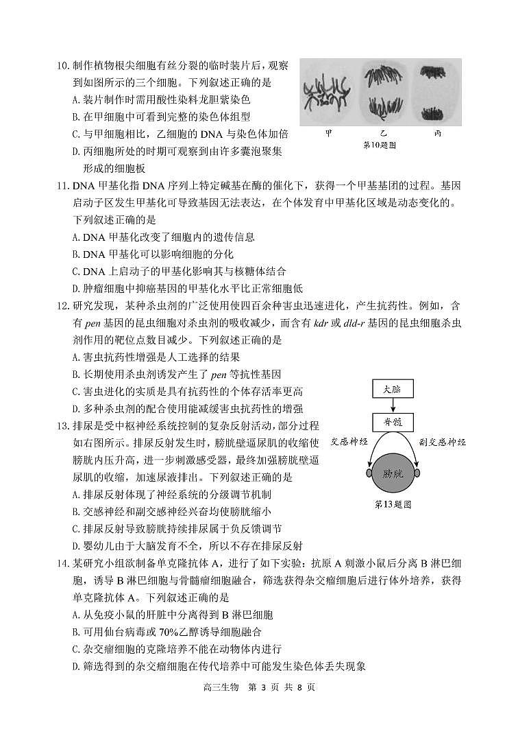 2023湖州、丽水、衢州三地高三4月教学质量检测生物PDF版含答案03