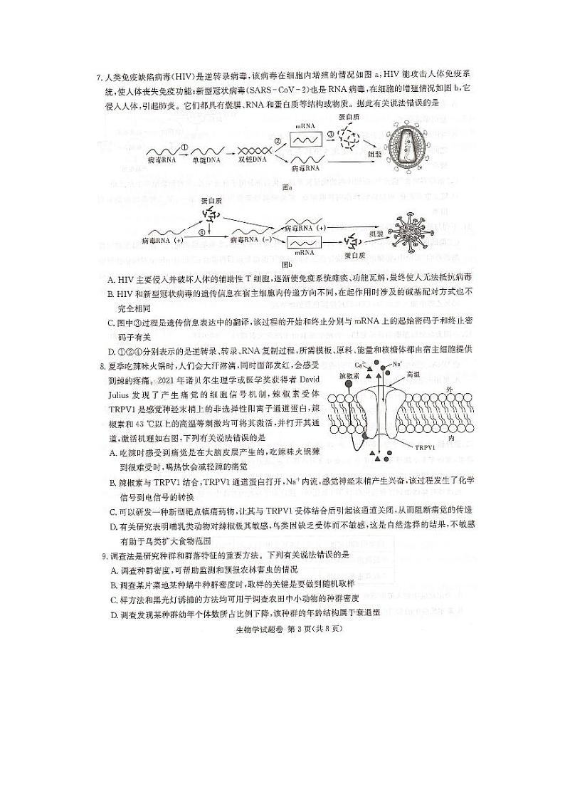 2023湖南省教学教研联盟高三第二次联考生物试卷PDF版含答案03