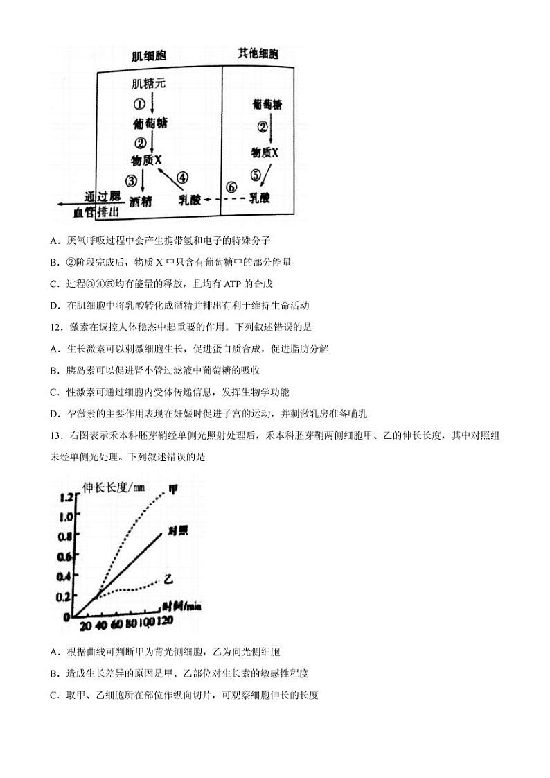 2021届浙江省宁波市高三下学期4月高考适应性考试（二模）生物试题 PDF版03