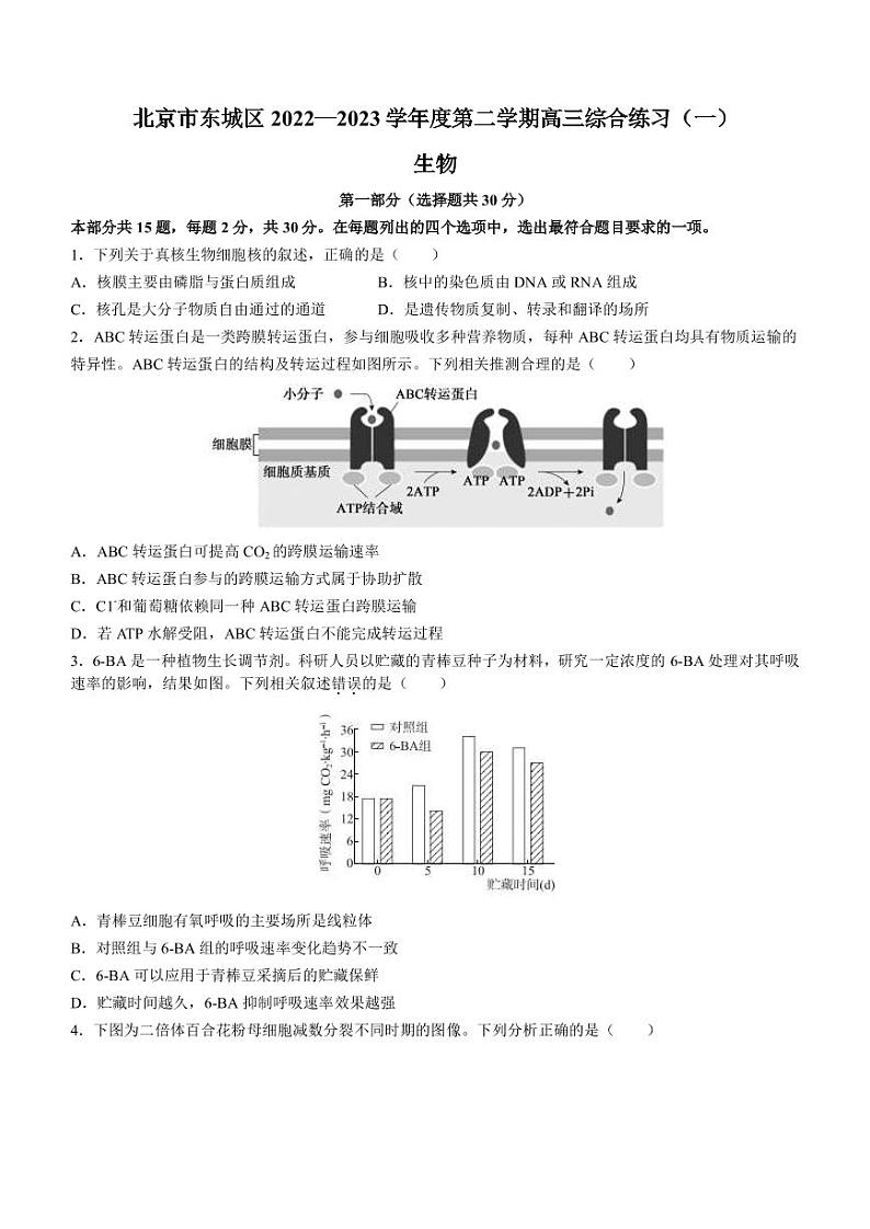 2022-2023学年北京市东城区高三下学期综合练习（月考）生物试卷PDF版含答案第1页
