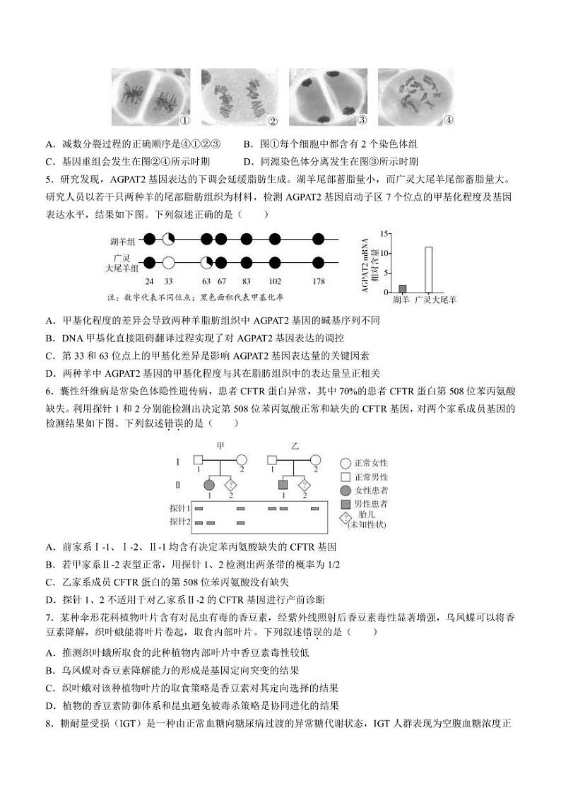 2022-2023学年北京市东城区高三下学期综合练习（月考）生物试卷PDF版含答案第2页