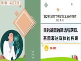 人教版高中生物选择性必修3 3-2-1目的基因的筛选与获取、基因表达载体的构建课件