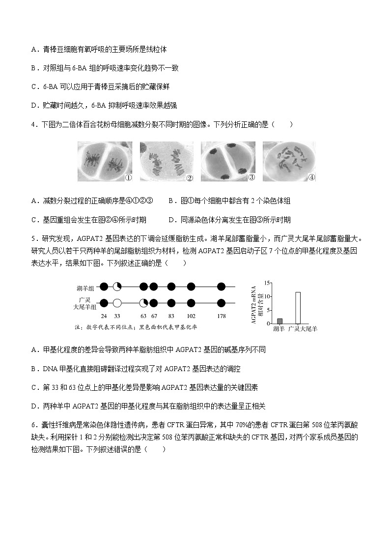 2022-2023学年北京市东城区高三下学期综合练习（月考）生物试卷含答案02
