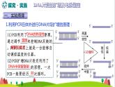 人教版高中生物选择性必修3 3-2-3探究实践DNA片段的扩增及电泳鉴定课件