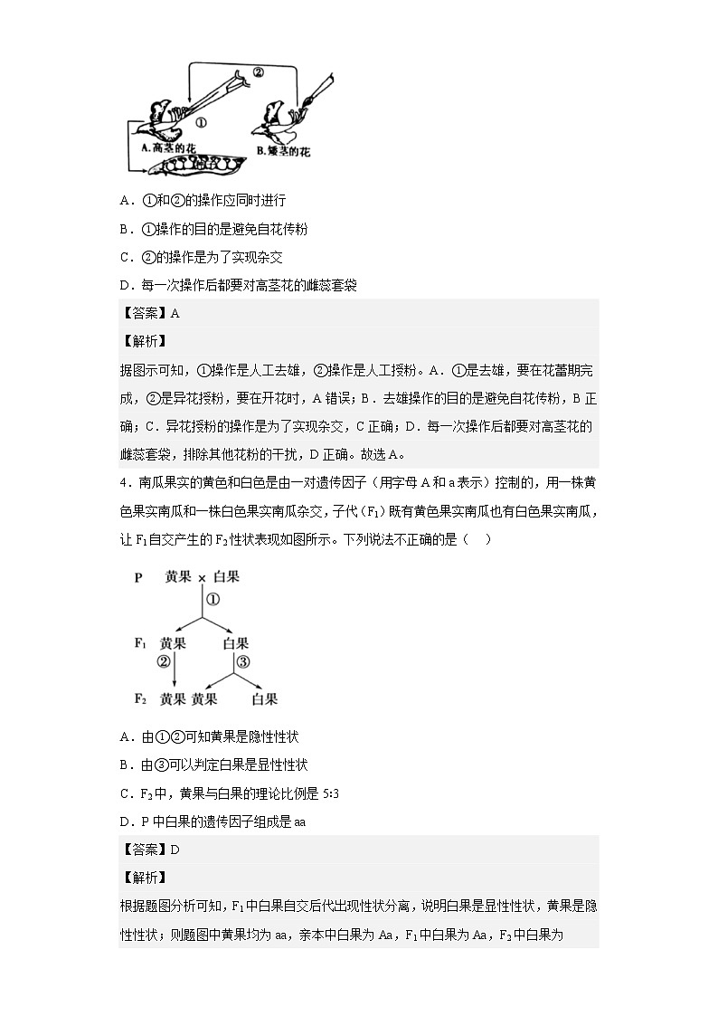 人教版高中生物必修2孟德尔的豌豆杂交实验（一）作业含答案第2页