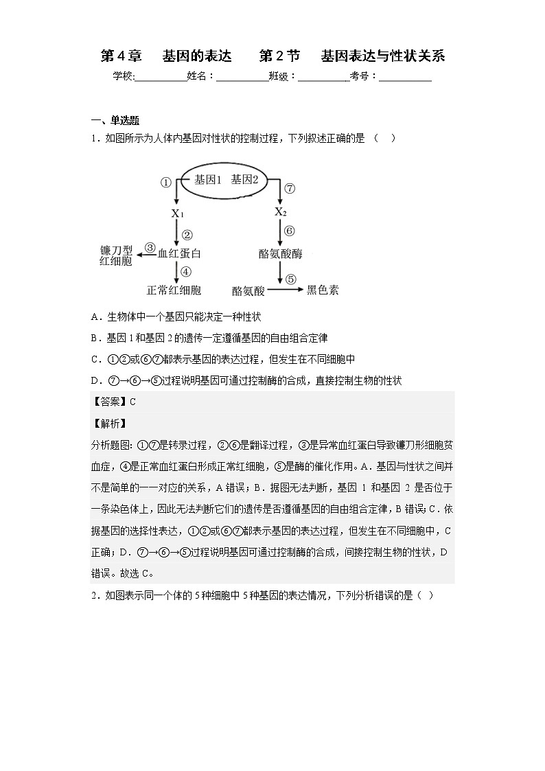 人教版高中生物必修2基因表达与性状关系作业含答案01
