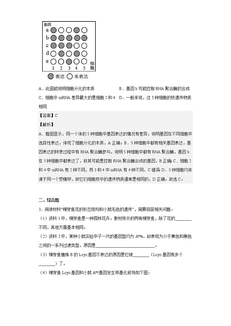 人教版高中生物必修2基因表达与性状关系作业含答案02