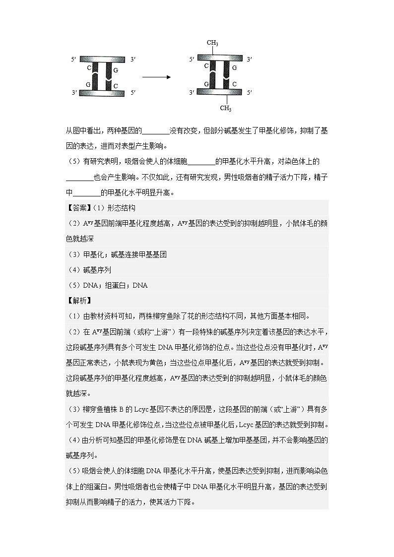 人教版高中生物必修2基因表达与性状关系作业含答案03