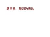 人教版必修二 第四章 第1节 基因指导蛋白质合成 课件（2课时）