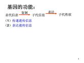 人教版必修二 第四章 第1节 基因指导蛋白质合成 课件（2课时）