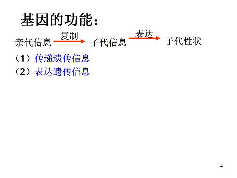 人教版必修二 第四章 第1节 基因指导蛋白质合成 课件（2课时）第4页