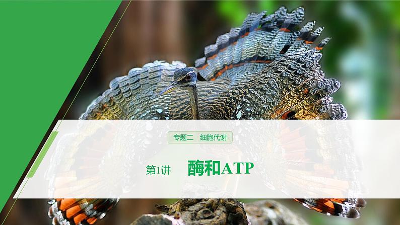 高考生物二轮复习《酶和ATP》课件PPT第1页