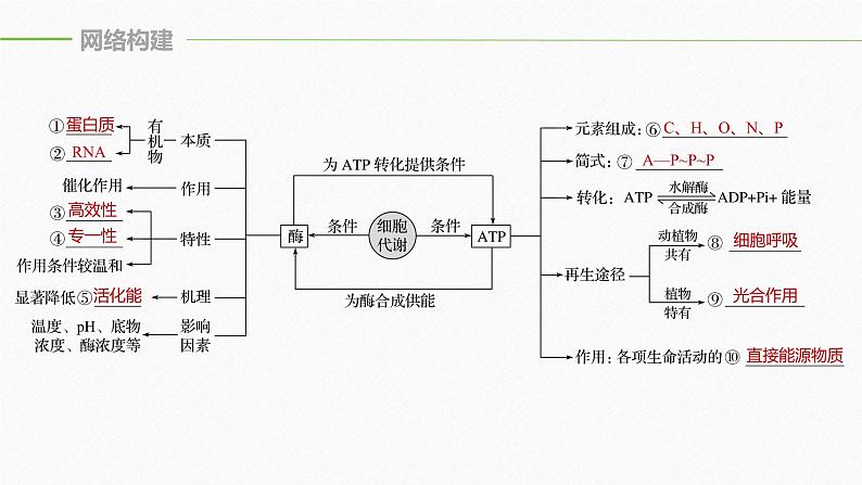 高考生物二轮复习《酶和ATP》课件PPT第5页