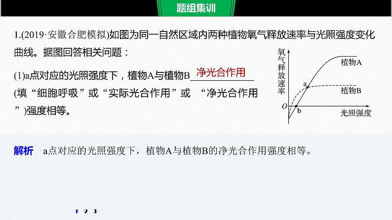 高考生物二轮复习《“因果搭桥法”突破植物代谢的原理》课件PPT第6页