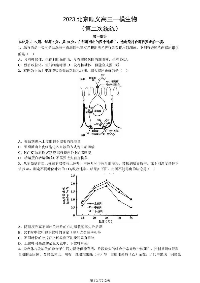 2023年北京顺义高三一模生物试题及答案第1页