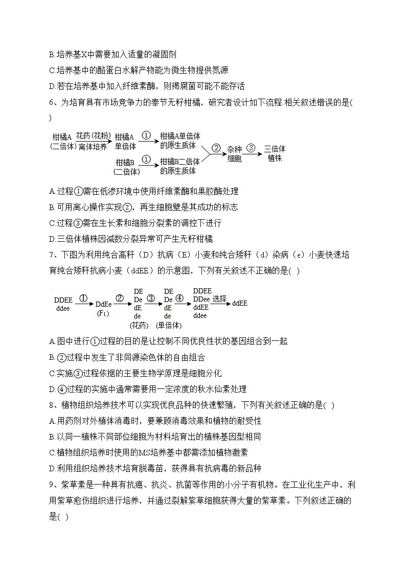 河北省大名县第一中学2022-2023学年高二下学期4月月考生物试卷（含答案）第2页