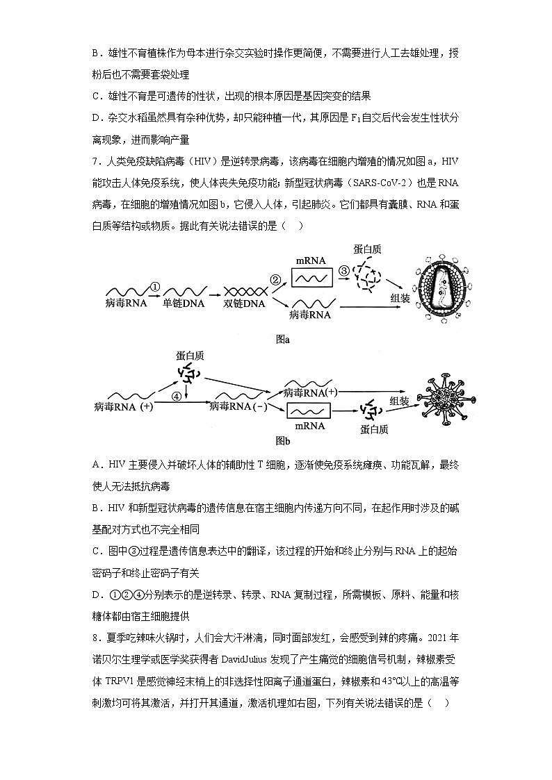 2023届湖南省教学教研联盟高三第二次联考生物试题（含答案）第3页