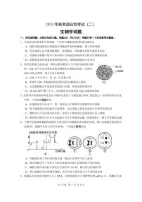 2023南通如皋高三下学期高考适应性考试（二）生物PDF含答案