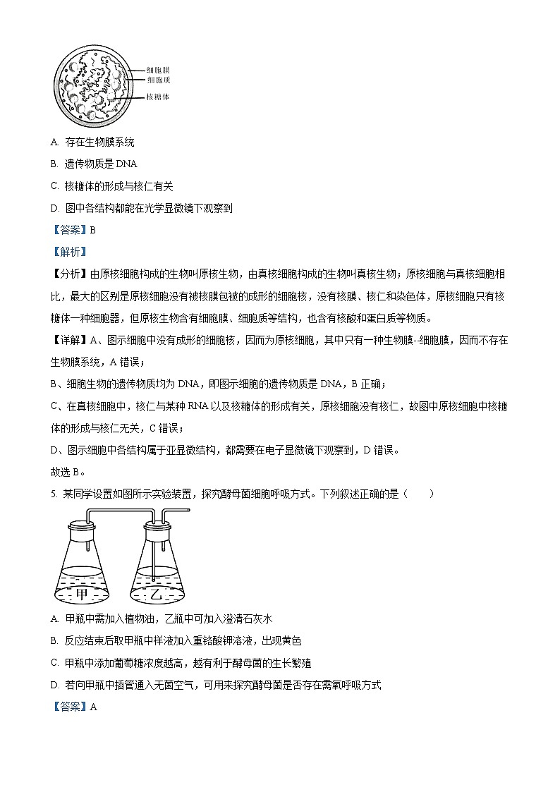 2023丽水、湖州、衢州三地高三下学期4月教学质量检测试题（二模）生物含解析03