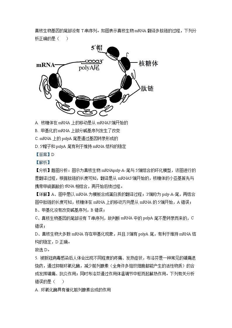 安徽省宣城市2023届高三生物下学期第二次模拟试题（Word版附解析）03