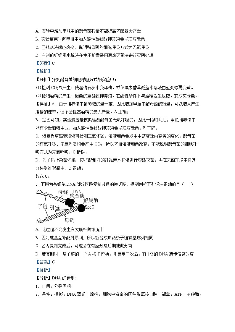 安徽省黄山市2023届高三生物二模试题（Word版附解析）02