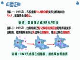 4.1 基因指导蛋白质的合成课件PPT