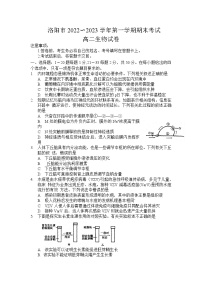 2022-2023学年河南省洛阳市第一学期期末考试高二生物试题含答案