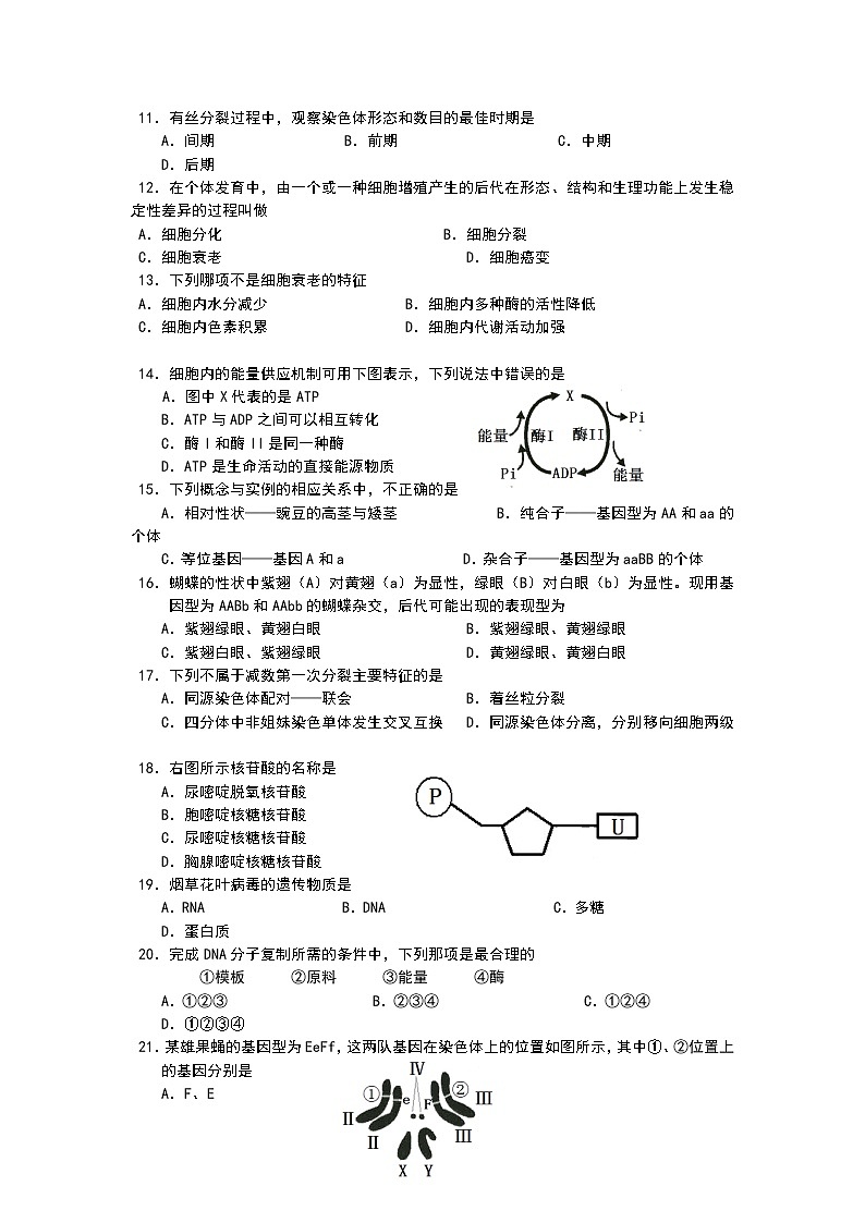湖南省邵东市第一中学2022-2023学年高一下学期期中考试生物试题（学考班）02