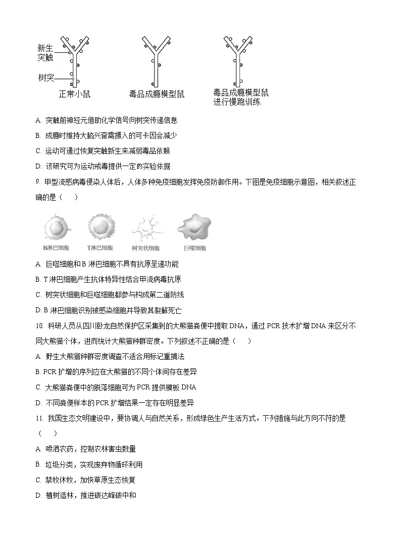 2023北京海淀区高三下学期期中考试（一模）生物含解析03