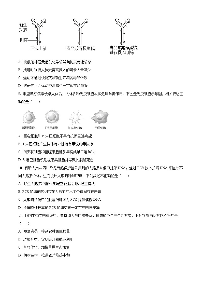 2023北京海淀区高三下学期期中考试（一模）生物含解析03
